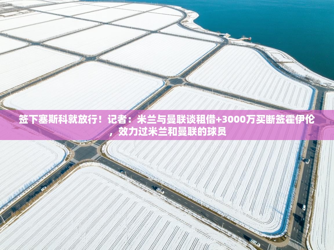 签下塞斯科就放行!记者:米兰与曼联谈租借+3000万买断签霍伊伦,效力过米兰和曼联的球员 第2张