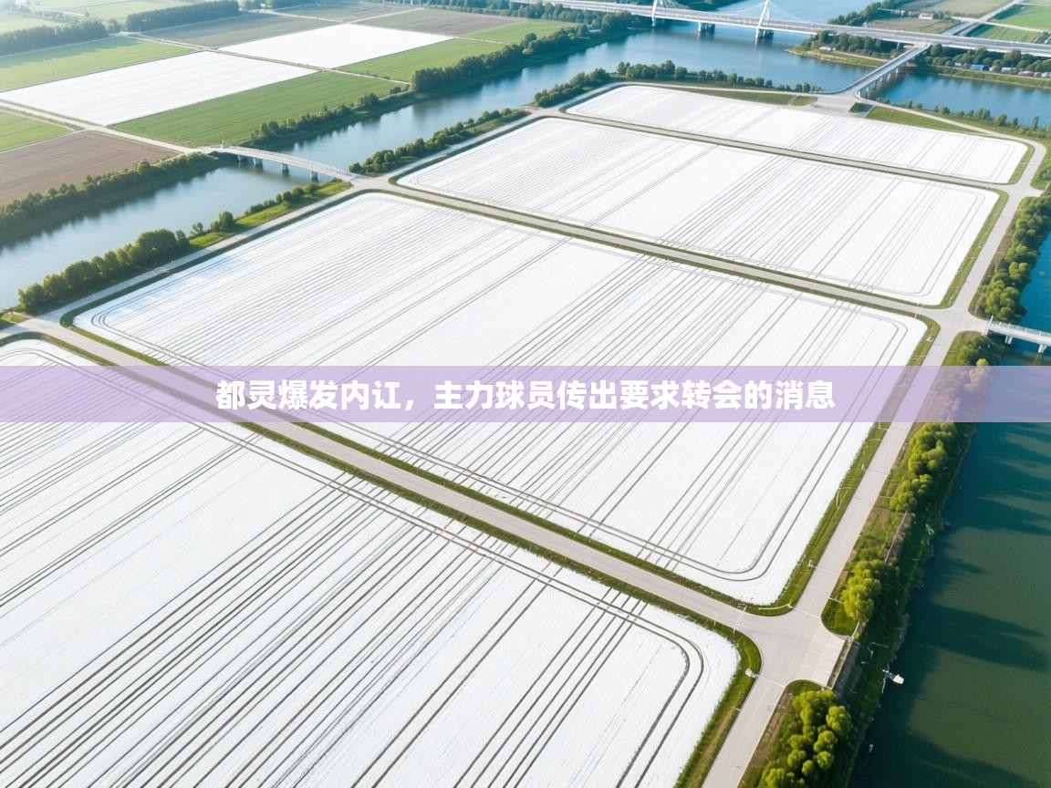 都灵爆发内讧，主力球员传出要求转会的消息